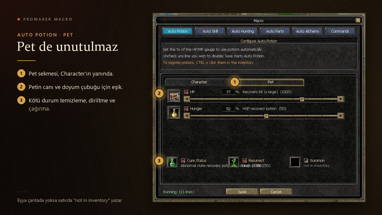 04-auto-potion-pet.jpg