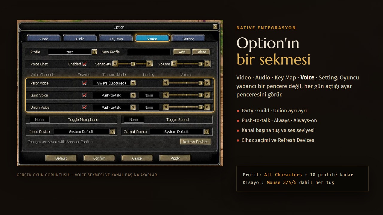 25-voice-option.jpg