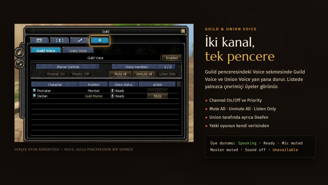 27-voice-guild.jpg